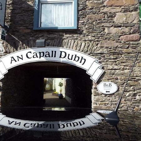 Dingle Centre Townhouse An Capall Dubh دينغل المظهر الخارجي الصورة